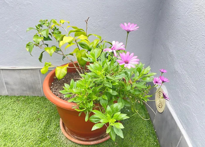 Atico Cue, Parking Gratuito 公寓 *