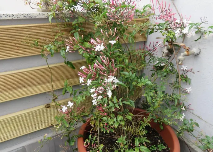 Atico Cue, Parking Gratuito * 希洪