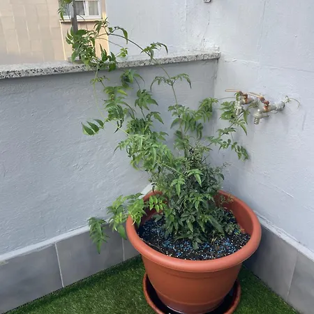 Atico Cue, Parking Gratuito Апартаменти *