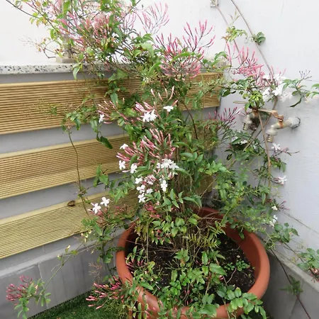 Atico Cue, Parking Gratuito * Gijón